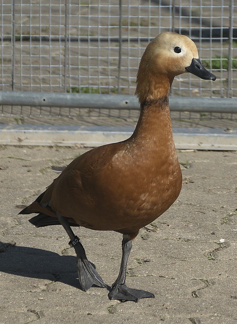 场馆设施